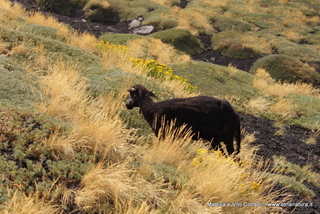 rra delle Concazze-05-08-2014 15-10-44